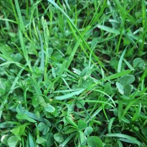 Zainteresowany tylko pieniędzmi