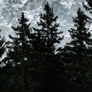 盗墓笔记·十年人间