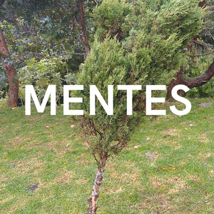 Mentes