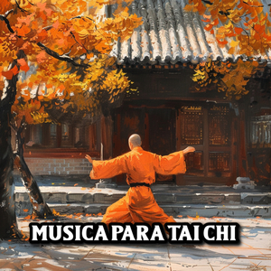 Entrenando Kung Fu