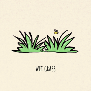Wet Grass