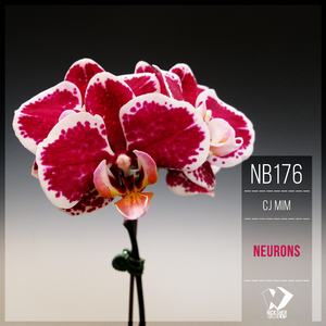 Neurons (Original Mix)