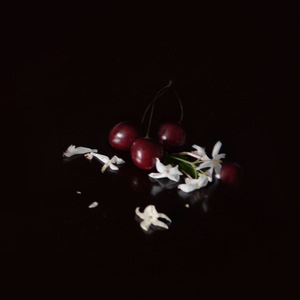 One Life (Evian Christ remix)