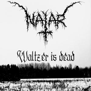 Waltzer Is Dead