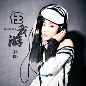 任我游 (DJ何鹏版)