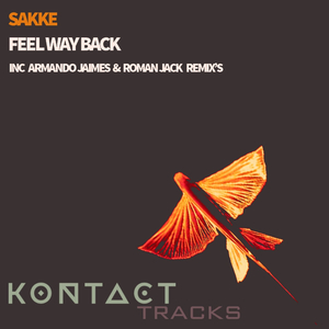 Feel Way Back (Original Mix)
