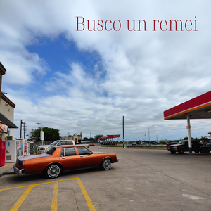 Busco un remei