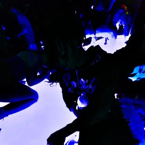 DEADGUY (feat. Sleepinrelics)