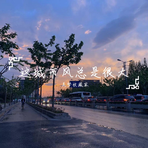 这城市风总是很大