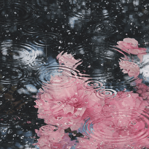 Clockwork Waltz of the King’s Gambit