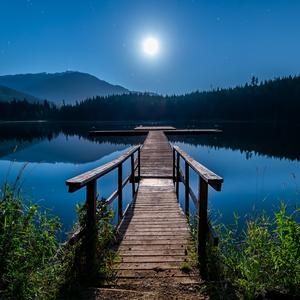 Moonlight