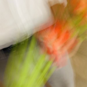 Альстромерии