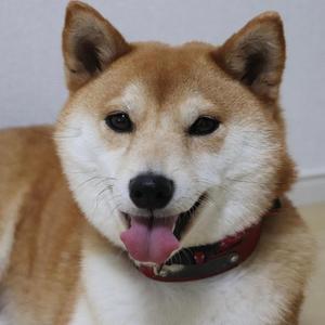 朝日が差し込むこの部屋で