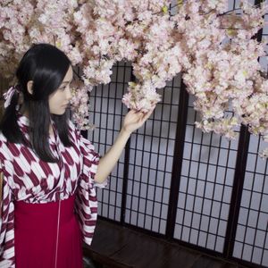 等待一场樱花雨