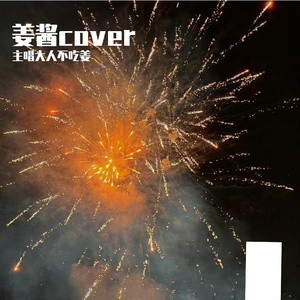 苏州河（cover薛凯琪）