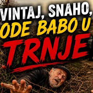 Vintaj Snaho
