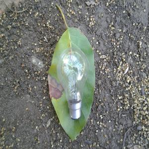 Classified (Exclusive)