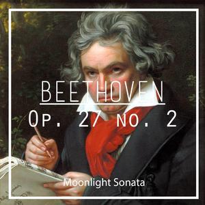 Beethoven: Piano Sonata No. 14 "Moonlight Sonata" Op. 27 No. 2: I. Adagio Sostenuto