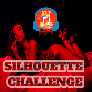 Silhouette Challenge
