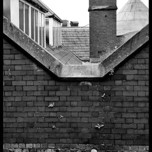 Rooftops
