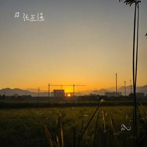 烫心 (Cover 羽泉)