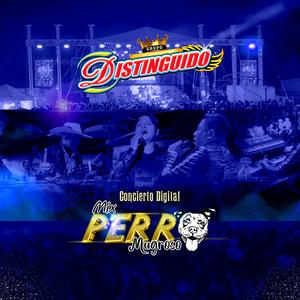 Mix Perro Mugroso (Remix)