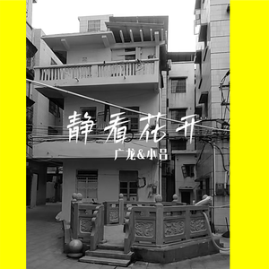 静看花开(广龙&小吕)