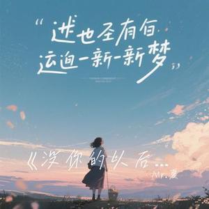 没你的以后