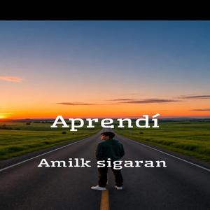 Aprendí