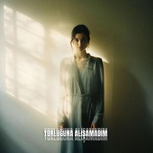 Yokluğuna Alışamadım