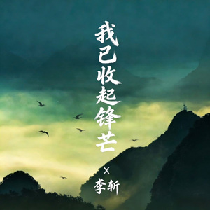 我已收起锋芒（DJ版）