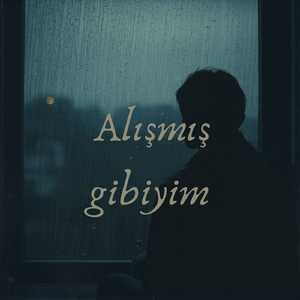 Alışmış gibiyim