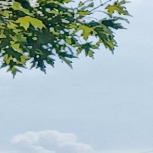 trotventurs1 sell outs push back