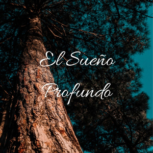 Círculos de Oceano Durmiente