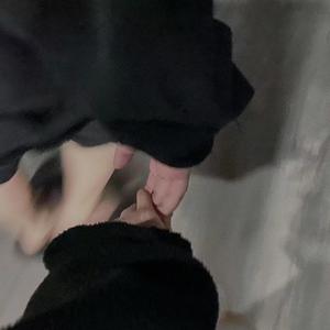 陈韵若-爱的回归线（月亮崽 remix）