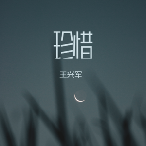 珍惜 伴奏