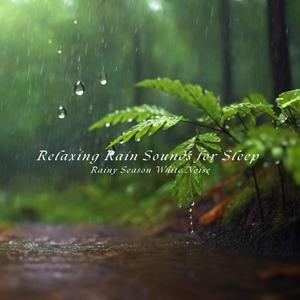 听见雨声白噪音