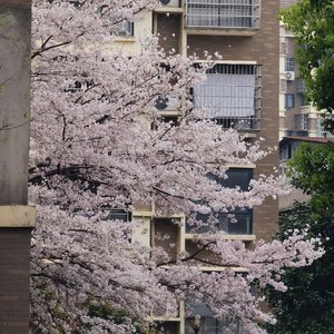 被爱并非与生俱来