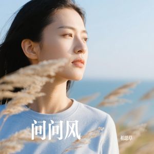 问问风