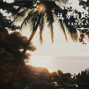 心动处的坚定回响