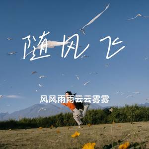 随风飞