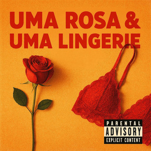Uma Rosa & Uma Lingerie