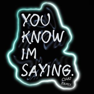 You Know im Saying（Remix）
