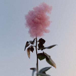 《受害者有罪论》