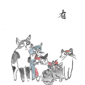 观察日记