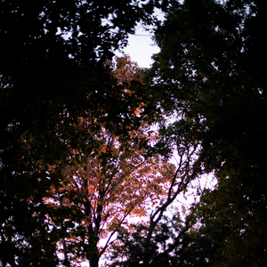 비밀스러운 가을에