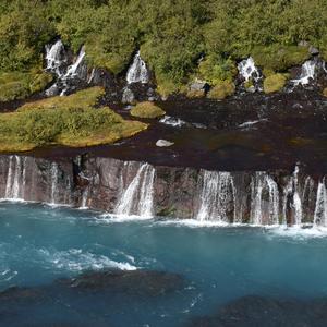 צבעוני בשחור לבן