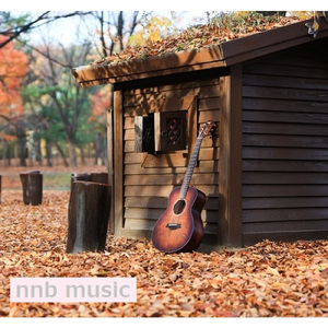 秋のカントリーギター