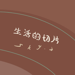 生活的切片
