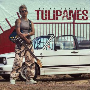 Tulipanes